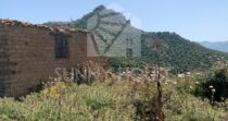 Terreno con Ruderi e Uliveto – Ideale per Agriturismo o Resort nelle Madonie