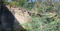 Terreno Agricolo con Magazzino in Vendita a 6 km da Cefalù