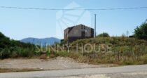 Terreno con Ruderi e Uliveto – Ideale per Agriturismo o Resort nelle Madonie
