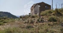 Terreno con Ruderi e Uliveto – Ideale per Agriturismo o Resort nelle Madonie