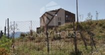 Terreno con Ruderi e Uliveto – Ideale per Agriturismo o Resort nelle Madonie