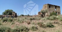 Terreno con Ruderi e Uliveto – Ideale per Agriturismo o Resort nelle Madonie