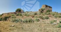 Terreno con Ruderi e Uliveto – Ideale per Agriturismo o Resort nelle Madonie