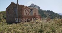 Terreno con Ruderi e Uliveto – Ideale per Agriturismo o Resort nelle Madonie