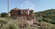 Terreno con Ruderi e Uliveto – Ideale per Agriturismo o Resort nelle Madonie