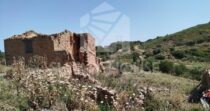Terreno con Ruderi e Uliveto – Ideale per Agriturismo o Resort nelle Madonie