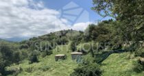 Terreno con Ruderi e Uliveto – Ideale per Agriturismo o Resort nelle Madonie