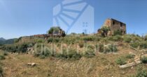 Terreno con Ruderi e Uliveto – Ideale per Agriturismo o Resort nelle Madonie
