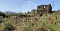 Terreno con Ruderi e Uliveto – Ideale per Agriturismo o Resort nelle Madonie