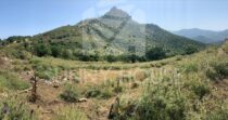Terreno con Ruderi e Uliveto – Ideale per Agriturismo o Resort nelle Madonie