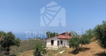 Villa Sostenibile con Terreno e Ulivi a due passi da Cefalù