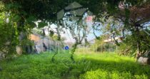 Ampia Villa Bifamiliare con Giardino di Aranci e Prato Verde a Lascari