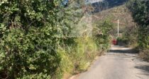 Terreno immerso nella natura con possibilità di costruzione vicino Cefalù