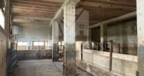 Spazio di 440 mq categoria D/8 a Finale di Pollina