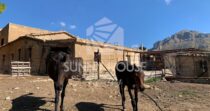 In vendita – Proprietà rurale di circa 900 m² con 22 ettari di terreno