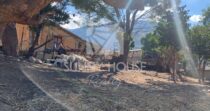 In vendita – Proprietà rurale di circa 900 m² con 22 ettari di terreno