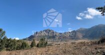 In vendita – Proprietà rurale di circa 900 m² con 22 ettari di terreno