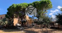 In vendita – Proprietà rurale di circa 900 m² con 22 ettari di terreno